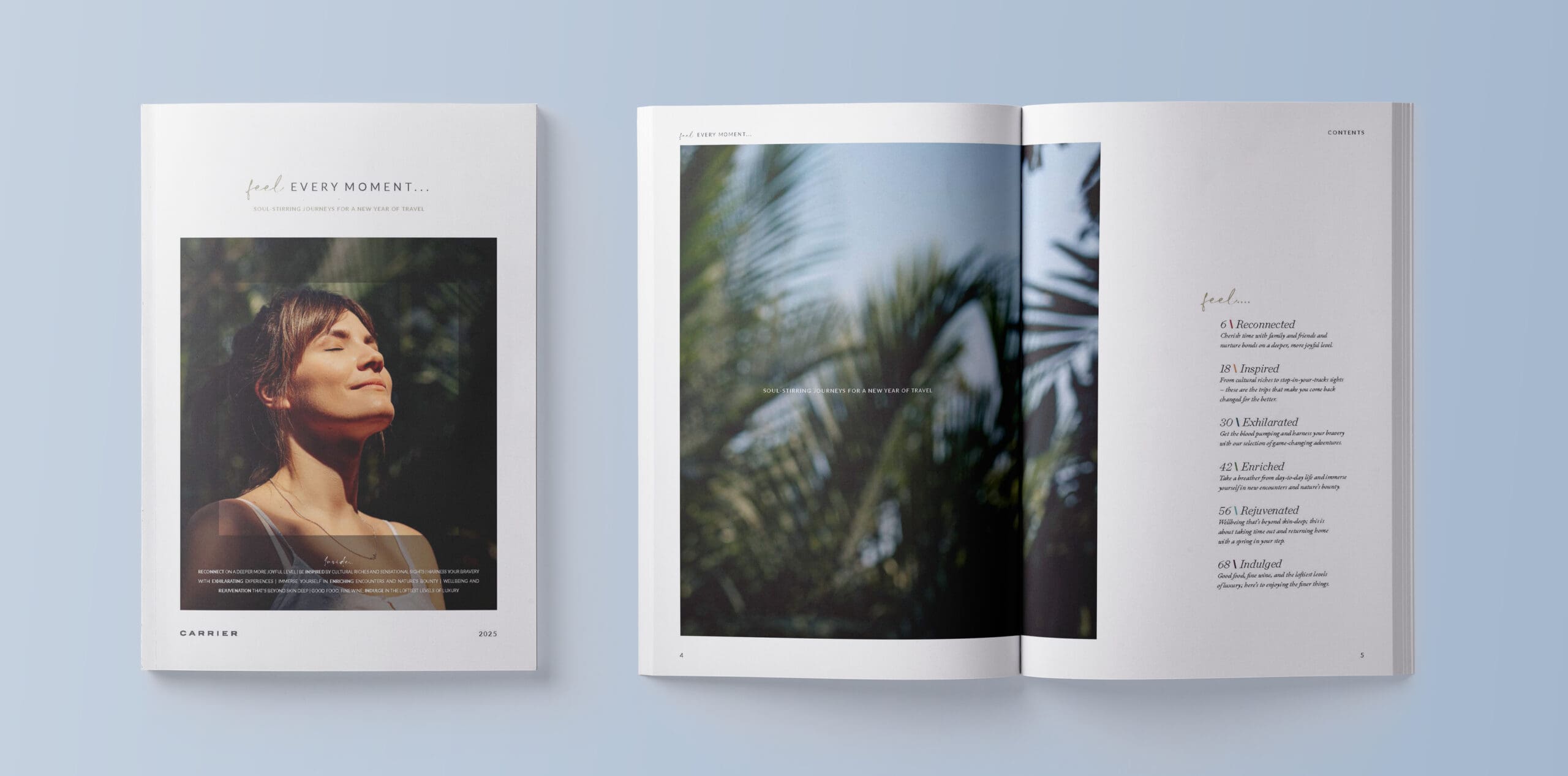 Carrier Case Study Image